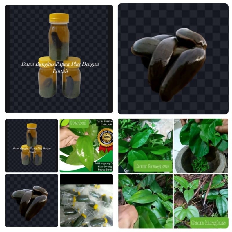 

Daun Bungkus Papua Asli 100% Herbal Organik Garansi Uang Kembali ( 1 botol )