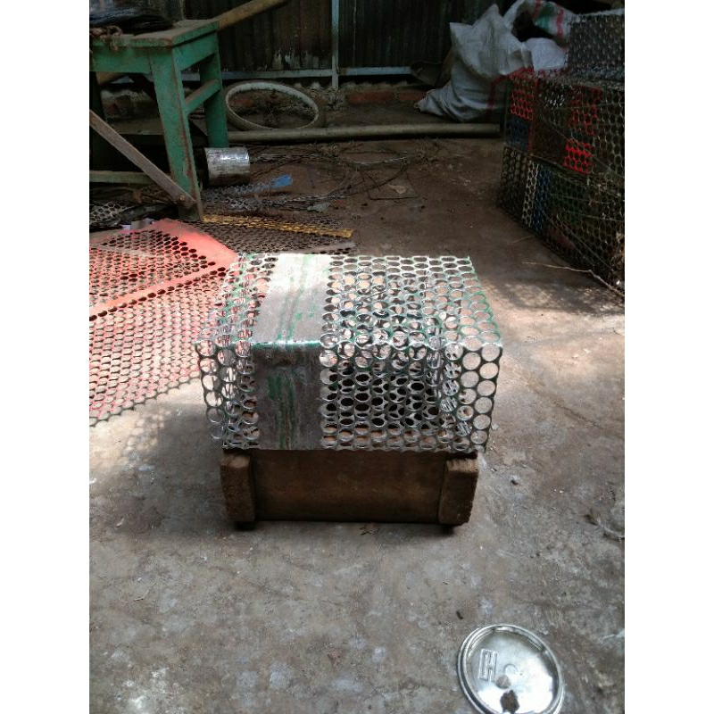 jebakan tikus massal