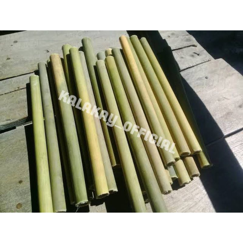 Batang Bambu Kecil Per 10 Batang, Ranting Bambu Bahan Kerajinan