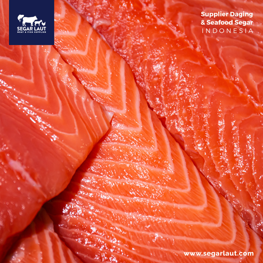 

Ikan Salmon Premium Fillet Fresh Sashimi Grade | Sashimi Sushi