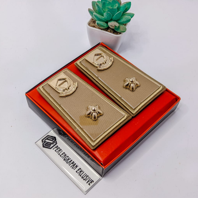 PANGKAT PNS CIANJUR 3D - PNS CIANJUR 3D - PANGKAT PNS CIANJUR GOLONGAN 3D - PANGKAT PNS 3D - PNS 3D