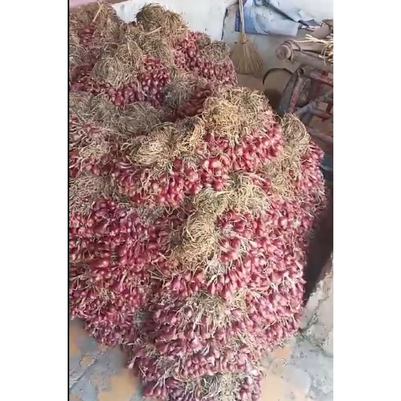 

Bawang Merah ASLI Brebes1kg