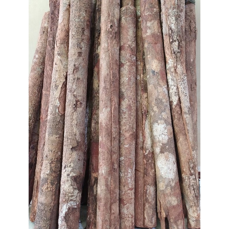 

Kulit kayu Raru asli Medan 500g