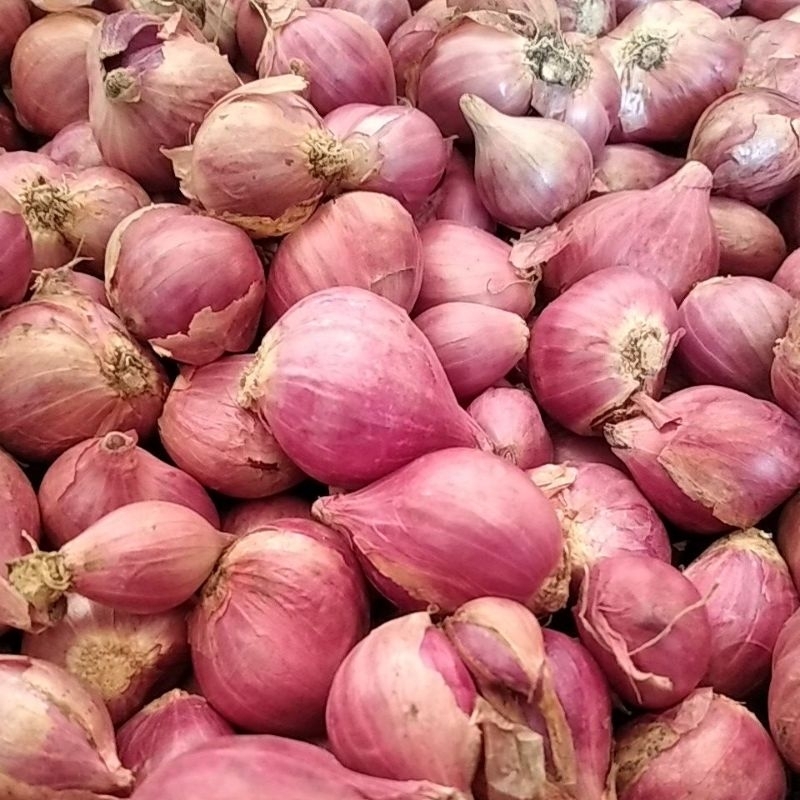 

Bawang Merah Garing | Bawang Merah Tanggung| Bawang Putih | Bawang Merah Lokal | Bawang Merah 1 kg