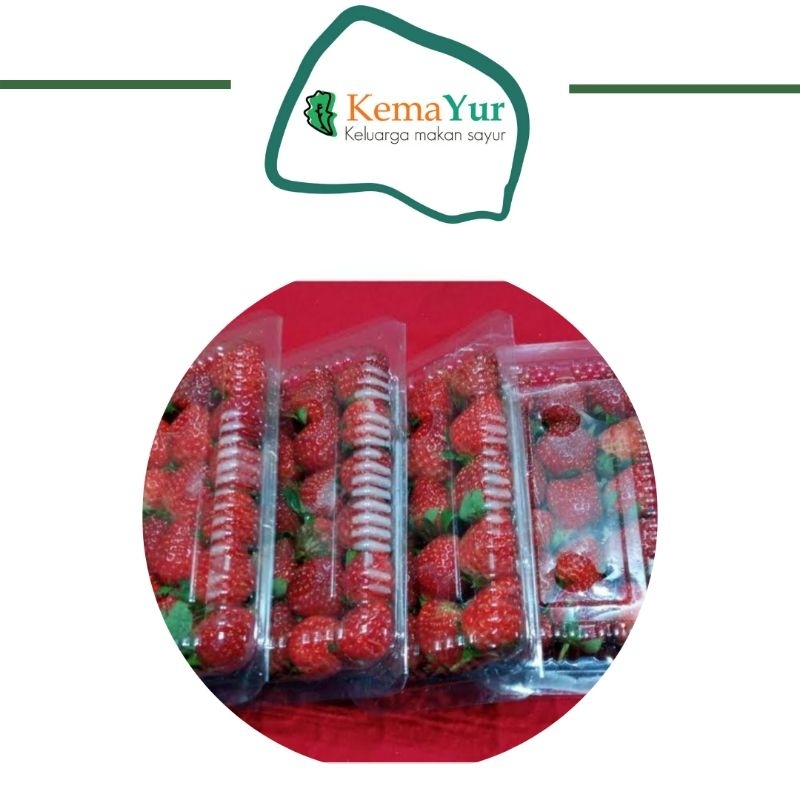 

STRAWBERRY FRESH BUAH MURAH PACK SURABAYA