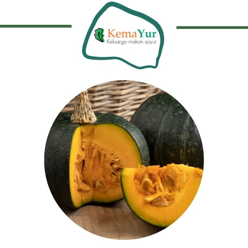 

KABOCHA HIJAU 1 BUAH