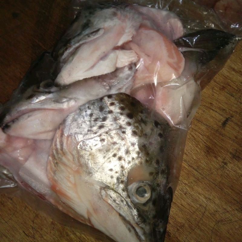 

KEPALA SALMON 1KG TERMURAH!!!