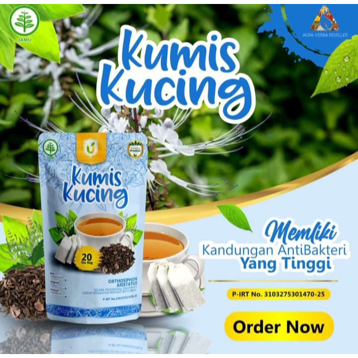 

Teh celup Kumis Kucing usybah isi 20 kantung membantu melancarkan BAK