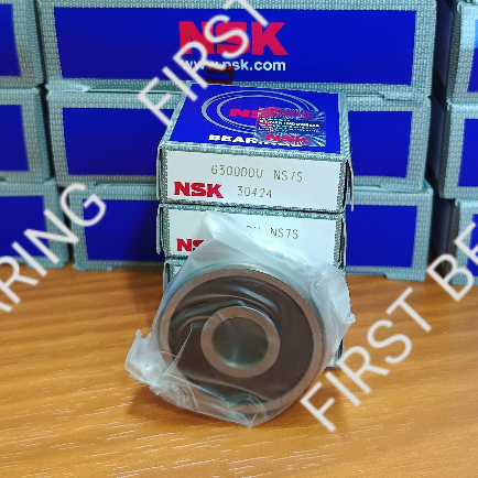 Bearing NSK 6300 DD