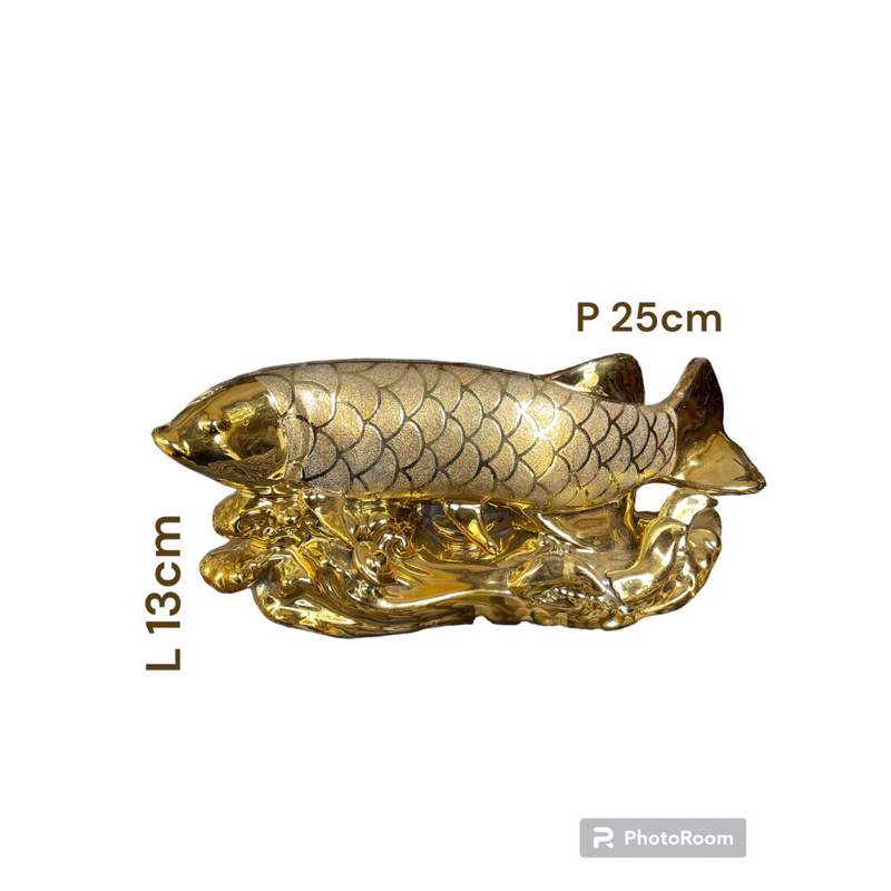 IKAN ARWANA KECIL PAJANGAN IKAN ARWANA EMAS