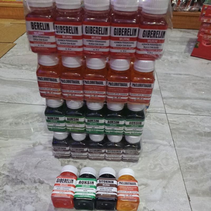 Auksin Giberlin auksin sitokinin paclobutrasol asli original