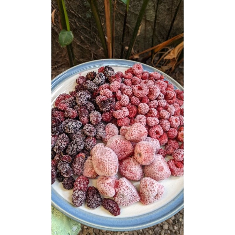 

buah berry -mix berry frozen -frozen berries-buah-buah berry-buah berry segar-berries-frozen food
