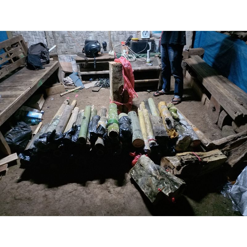 bibit klanceng kelulut kelekele trigona leavy