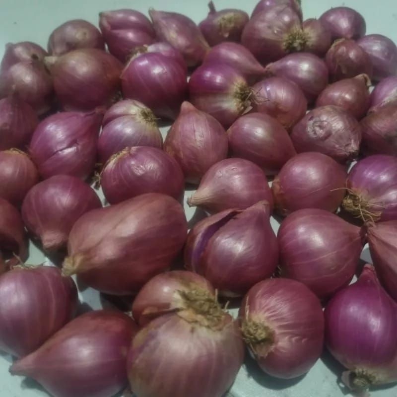 

Bawang Merah 1kg