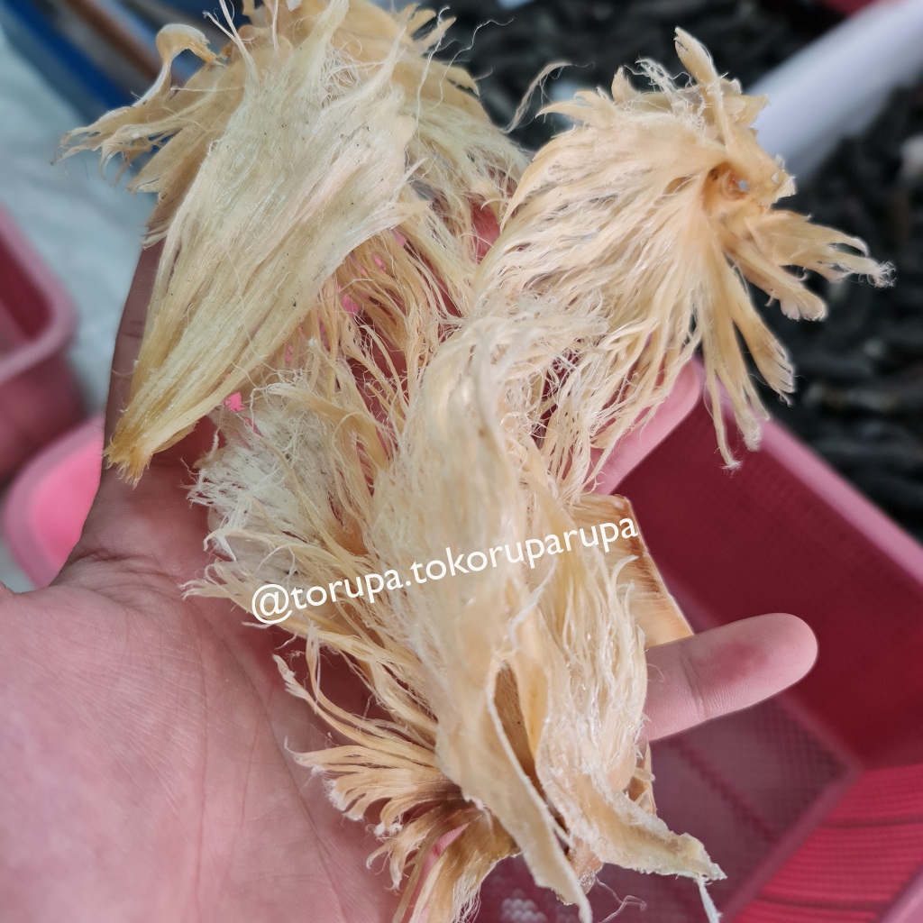 

Premium Hisit Kering 100 Gram / Hechi / Sirip Hiu / Sirip Ikan Hiu Kering / Sup Sirip Hiu Hidangan Tionghoa