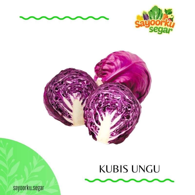 

KIRIM BESOK Kubis ungu / kubis merah / kol ungu / red cabbage