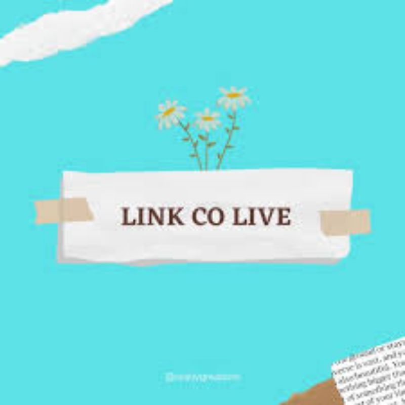 

LINK CO LIVE 2(L)