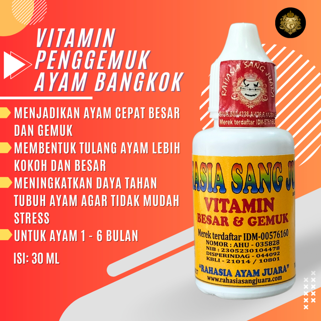 PENGGEMUK AYAM BANGKOK OBAT PENGGEMUK AYAM CEPAT BESAR DAN GEMUK UMUR 1 BULAN SAMPAI 6 BULAN