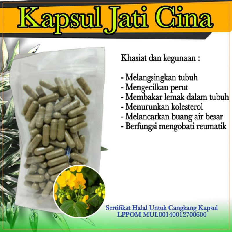 

Kapsul Jati Cina Herbal Pelangsing dan Kolesterol isi 100 Kapsul