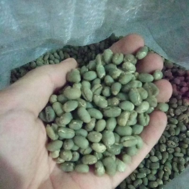 

biji kopi peaberry gayo 1 kg