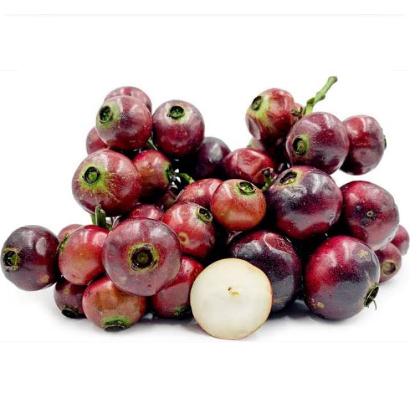 

Buah kupa gowok 250gram buah kepa GRATIS bubble warp dan kardus aman di paking