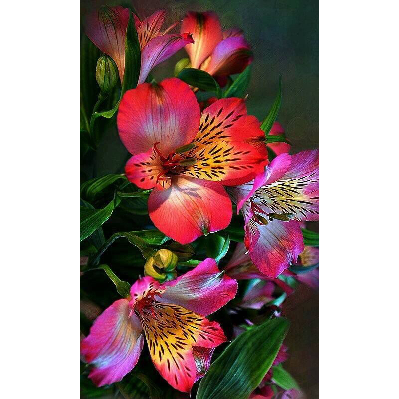 hiasan dinding gambar bunga sepatu bintik plus bingkai