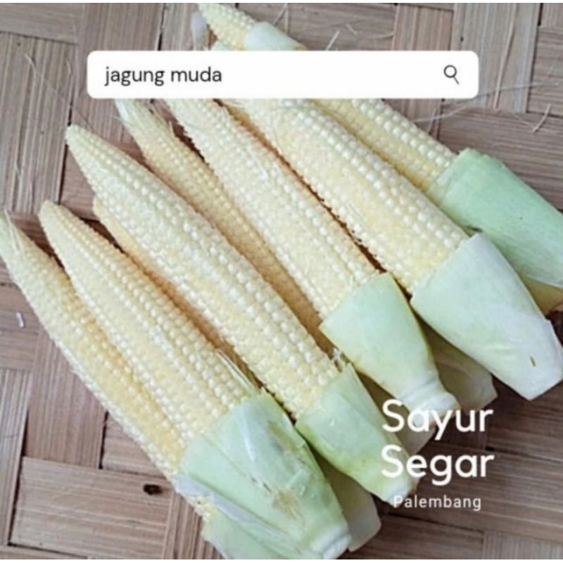 

Jagung putren 100 gr sayur segar palembang