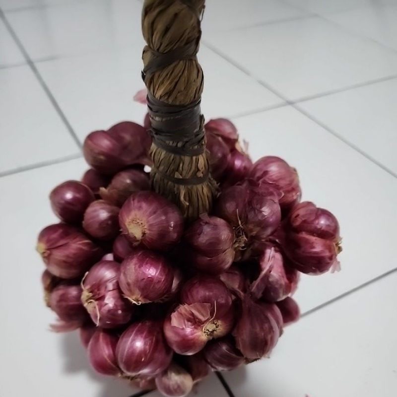 

Bawang Merah Probolinggo