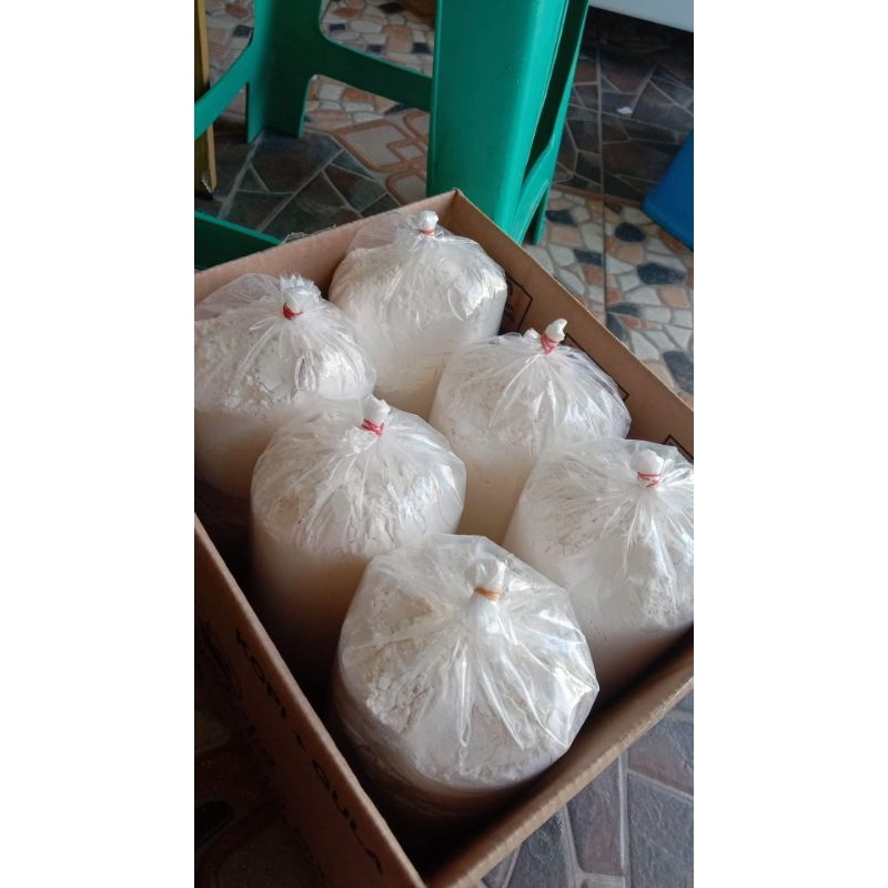 

tepung terigu