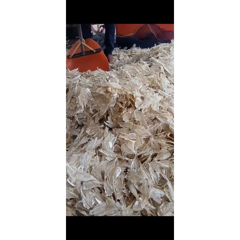 

cincang rebung / pakkang.