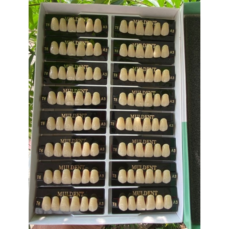 gigi palsu muldent per box isi 16,depan atas dan depan bawah