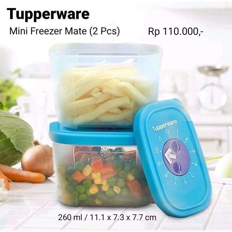 MiniFreezerMateTupperware(2)