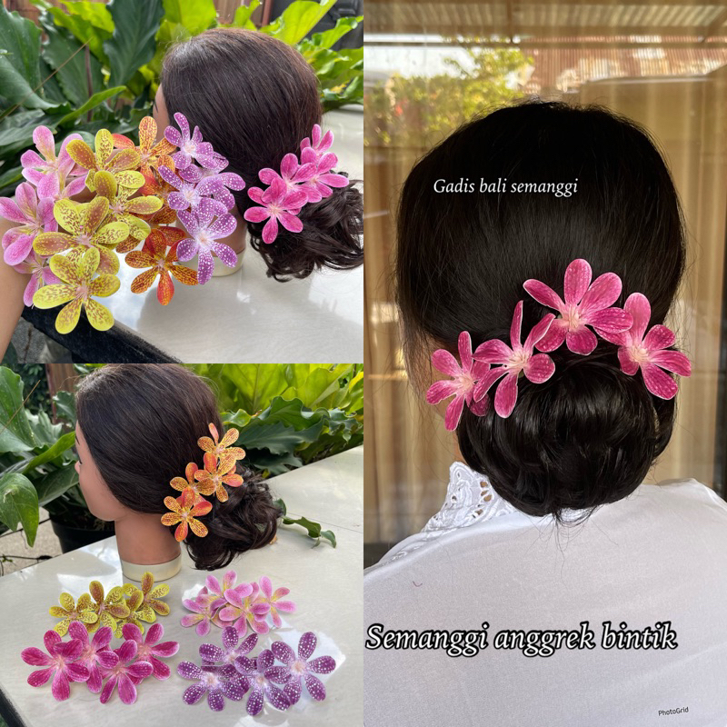 Semanggi Bunga Anggrek Mokara / Semanggi Bunga / Bunga Anggrek Bintik / Bunga Anggrek Bintik / Anggr