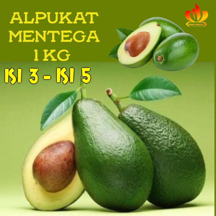 

Alpukat Mentega 1 Kg Isi 3–5 Murah Rasa Manis dan Lembut Bisa COD