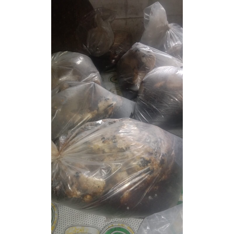 

QH Madu Sialang Nektar Akasia Netto 1kg