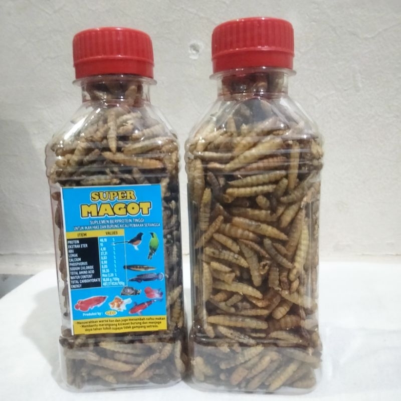 super maggot kering original/larva