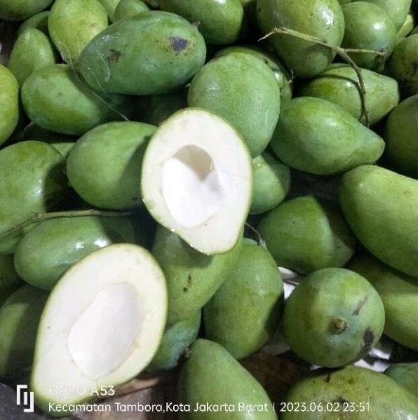 

MANGGA MUDA KRIUK BELAH BIJI PER 1 KG