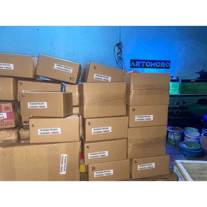 

packing kardus tambahan