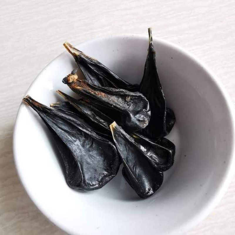 empedu biawak untuk kesehatannya tubuh