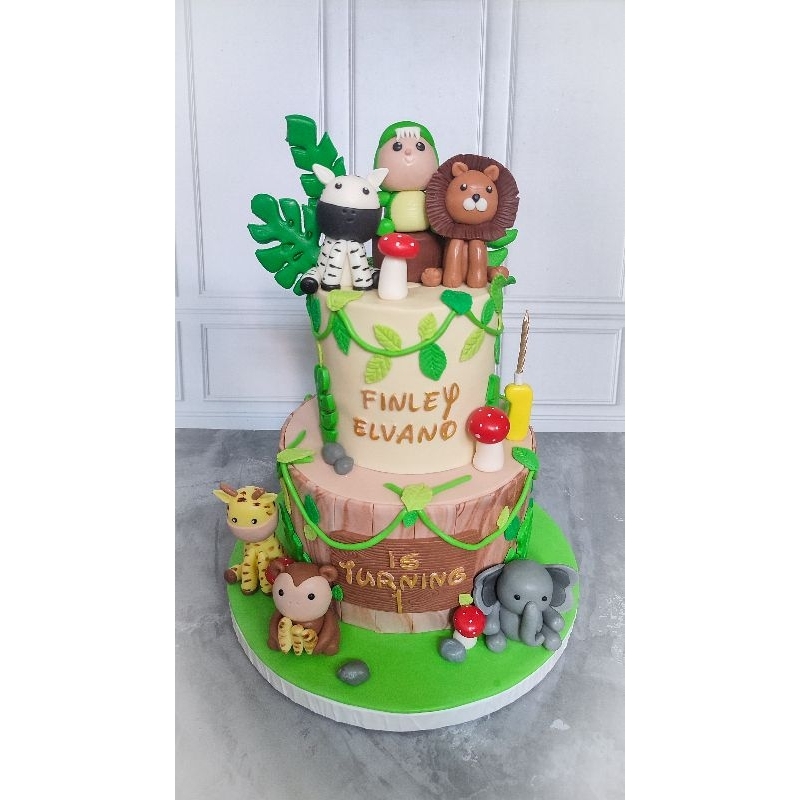 

Custom Birthday Cake