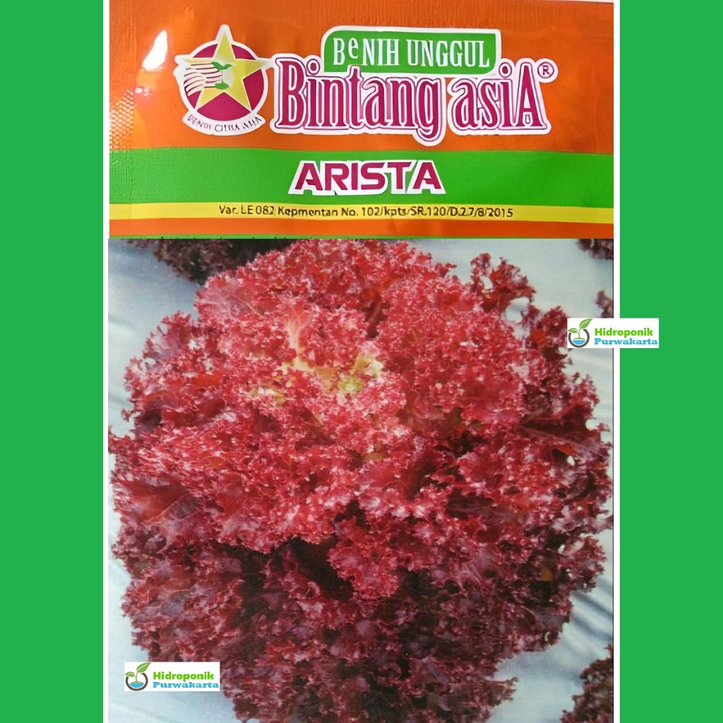 BENIH LETTUCE SELADA MERAH ARISTA ISI 10 GRAM CAP BINTANG ASIA BENIH CITRA ASIA