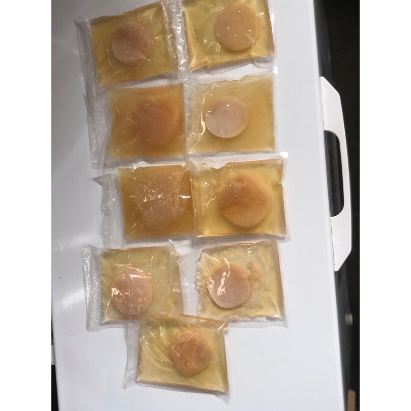 

Baby Scoby (kadang bisa komunikasi dengan kita)