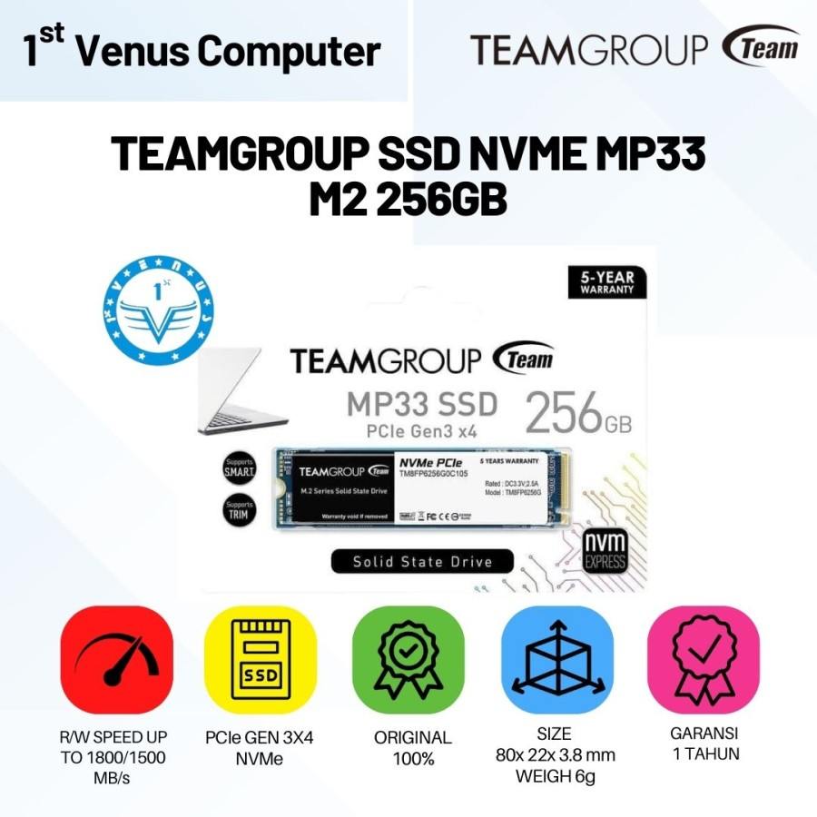 SSD NVME TEAM MP33 M2 256GB / SSD NVME 256GB TEAM M2 MP33 / MEM07-TEM
