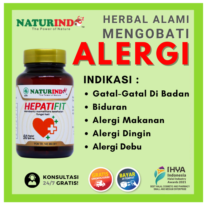 Obat  Alergi kulit Makanan Debu Bidur Biduran Biduren Alergi Dingin Dan Panas Gatal Parah Menahun Te