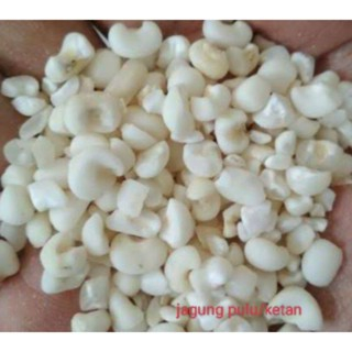

Jagung Pulu Ketan Bassang Khas Makassar 500gr 1/2kg
