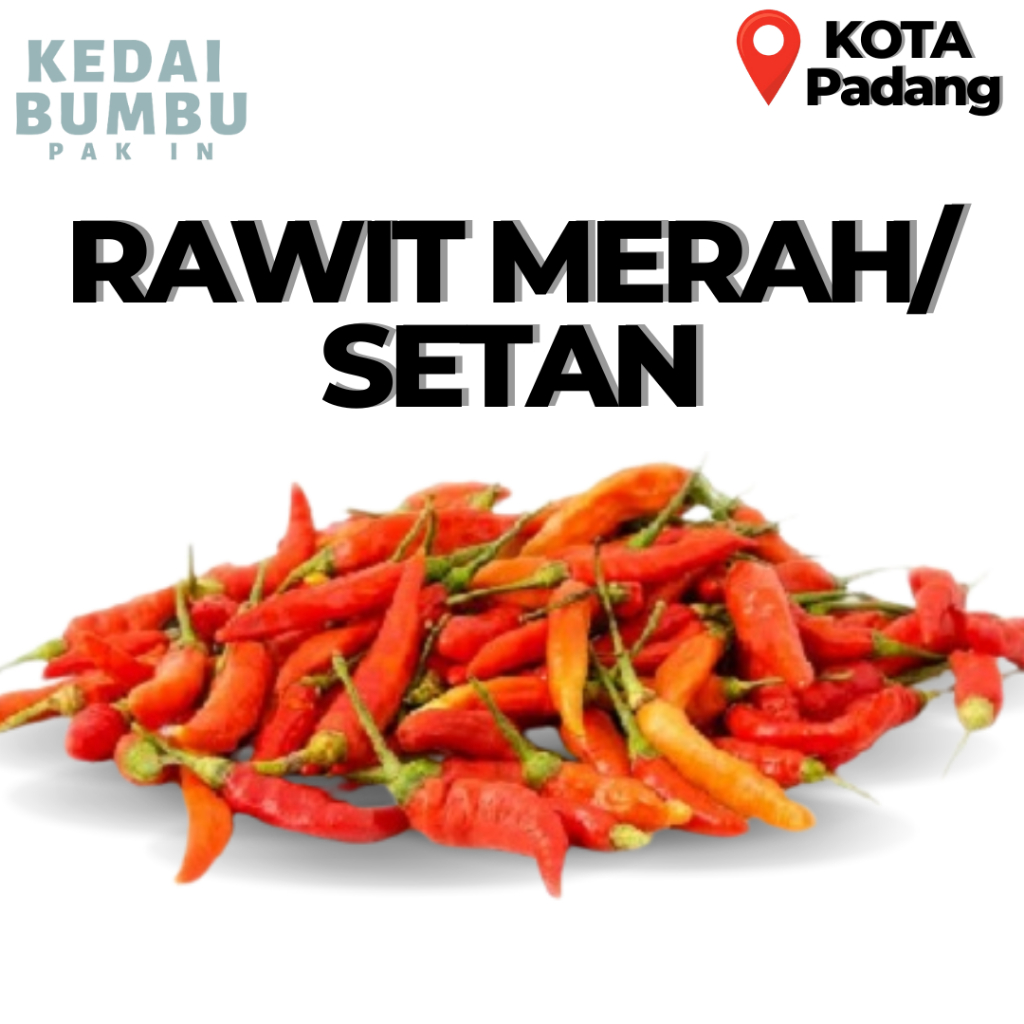 

Cabe Rawit Merah Setan | Lado Setan I CAbe Pedas 50gr 100gr 250gr 1kg Bumbu Dapur Masakan Sayuran Segar Kedai Bumbu Pak In Padang