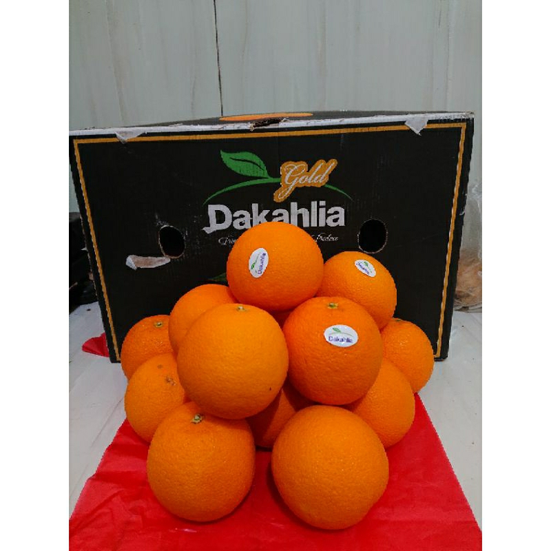 

jeruk Sunkist 1kg murah