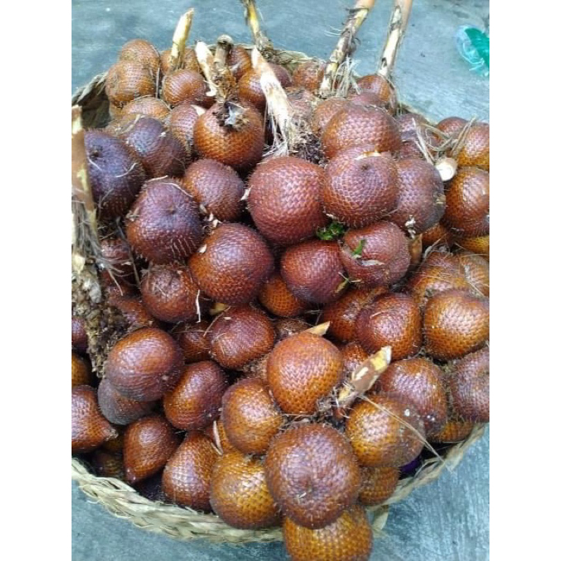 Salak Gula Pasir Bali 1 kg Asli Bali Kualitas Super