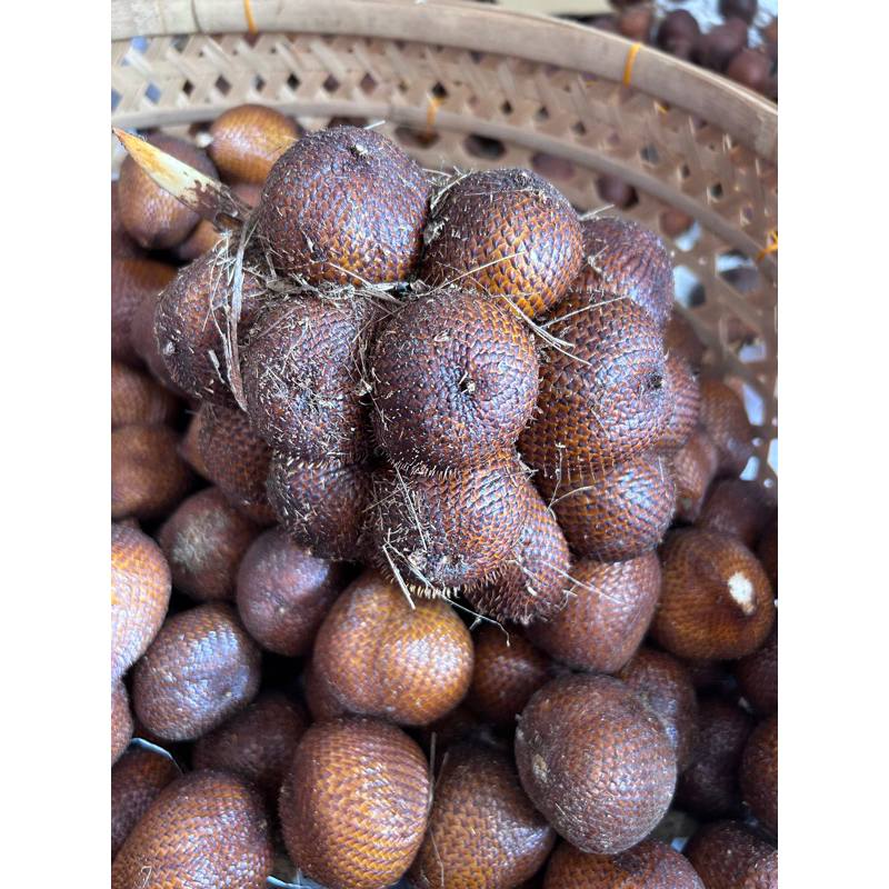 Salak Sibetan/Nangka/Salak Porong Asli Bali 1 kg Kualitas Super