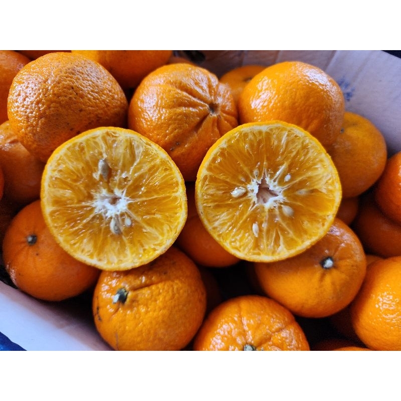 

jeruk mandarin sunpride 1kg